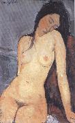 Amedeo Modigliani Seted Nude (mk39) Germany oil painting reproduction